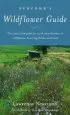 Audiobook Newcomb'S Wildflower Guide: An Ingenious new key System for Quick, Positive Field Identification of Wildflowers, Flowering Shrubs and Vines author Lawrence. Newcomb
