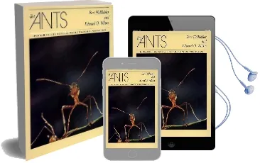 The Ants Audiobook download free by Bert Holldobler