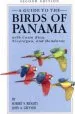 Audiobook A Guide to the Birds of Panama: With Costa Rica, Nicaragua, and Honduras author Robert S. Ridgely