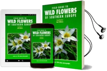 Field Guide to Wild Flowers of Southern Europe Audiobook download free by Paul Davies