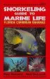 Audiobook Snorkeling Guide to Marine Life: Florida, Caribbean, Bahamas author Ned Deloach