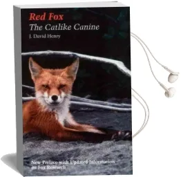 Red fox: The Catlike Canine Audiobook download free by J. David Henry