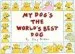 Audiobook My Dogs the Worlds Best dog author Suzy Becker