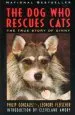 Audiobook The dog who Rescues Cats author Leonore Fleischer