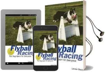 Flyball Racing Audiobook download free by L Olson