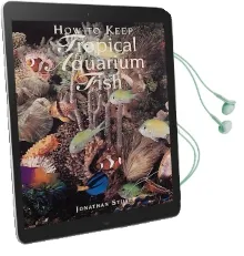 How to Keep Tropical Aquarium Fish Audiobook download free by Jonathan Stuart