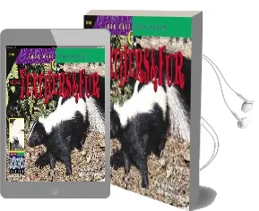 Animal Feathers & fur Audiobook download free by David M Schwartz