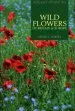 Audiobook Pocket Guide to Wild Flowers of Britain & Europe author Helen L. Pursey