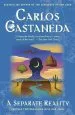 Audiobook A Separate Reality: Further Conversations With don Juan author Carlos Castaneda