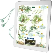 Tree Name Trail: A key to Common Trees Audiobook download free by Jonathan Oldham