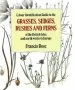 Audiobook Colour Identification Guide to the Grasses, Sedges, Rushes and Ferns of the British Isles and North Western Europe author Francis Rose