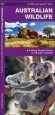 Audiobook Australian Wildlife: A Folding Pocket Guide to Familiar Species author James Kavanagh