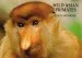 Audiobook Wild Asian Primates Postcard Book author Art Wolfe