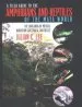 Audiobook A Field Guide to the Amphibians and Reptiles of the Maya World: The Lowlands of Mexico, Northern Guatemala, and Belize author Julian C. Lee