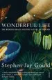Audiobook Wonderful Life author Stephen Jay Gould