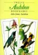 Audiobook Twelve Audubon Bookmarks author John James Audubon