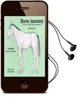 Horse Anatomy: A Pictorial Approach to Equine Structure Audiobook download free by Peter C. Goody