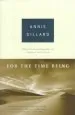 Audiobook For the Time Being author Annie Dillard