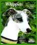 Audiobook Whippets: Everything About Purchase, Care, Nutrition, Behavior, Training, and Exercising author D. Caroline Coile