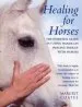 Audiobook Healing for Horses author Margrit Coates