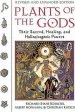 Audiobook Plants of the Gods: Their Sacred Healing and Hallucinogenic Powers Revised and Expanded Second Edition author Richard Evans Schultes