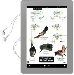 A Guide to British Bats Audiobook download free by Kate Jones