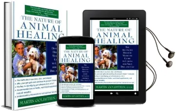 The Nature of Animal Healing Audiobook download free by Martin Goldstein