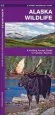 Audiobook Alaska Wildlife: A Folding Pocket Guide to Familiar Species author James Kavanagh