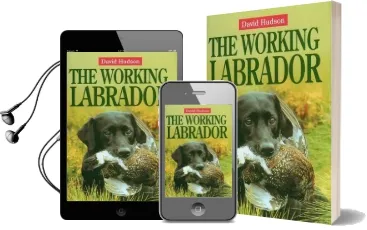 The Working Labrador Audiobook download free by David Hudson