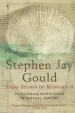 Audiobook The Lying Stones of Marrakech: Penultimate Reflections in Natural History author Stephen Jay Gould