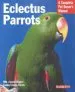Audiobook Eclectus Parrots author Katy Mcelroy
