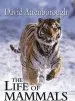 Audiobook The Life of Mammals author Sir David Attenborough