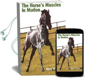 The Horse'S Muscles in Motion Audiobook download free by Sara Wyche