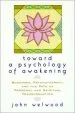Audiobook Toward a Psychology of Awakening author John Welwood