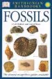 Audiobook Smithsonian Handbooks: Fossils author David Ward