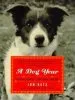 Audiobook Dog Year, a author Jon Katz
