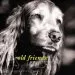 Audiobook Old Friends: Great Dogs on the Good Life author Mark Asher