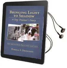 Bringing Light to Shadow Audiobook download free by Pamela Dennison