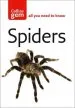Audiobook Spiders author Paul Hillyard