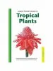 Audiobook Handy Pocket Guide to Tropical Plants author Elisabeth Chan