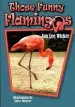 Audiobook Those Funny Flamingos author Jan Lee Wicker