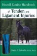 Audiobook Howell Equine Handbook of Tendon and Ligament Injuries author Linda B. Schultz
