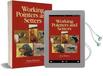 Working Pointers and Setters Audiobook download free by David Hudson