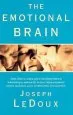 Audiobook The Emotional Brain author Joseph E. Ledoux