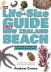 Audiobook The Life-Size Guide to the new Zealand Beach author Andrew Crowe