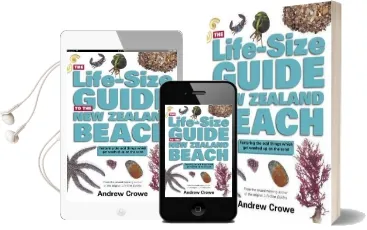 The Life-Size Guide to the new Zealand Beach Audiobook download free by Andrew Crowe