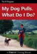 Audiobook My dog Pulls. What do i do? author Turid Rugaas