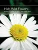 Audiobook Irish Wild Flowers author Ruth Isabel Ross