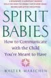 Audiobook Spirit Babies author Walter Makichen