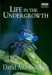 Audiobook Life in the Undergrowth author David Attenborough Productions Ltd.